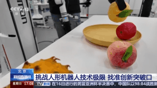 世界人形机器人运动会为创新找准突破口(图2)