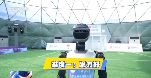 机器人足球赛夺冠秘籍大揭秘：虚拟球场练眼力 跷跷板上找平衡……(图6)