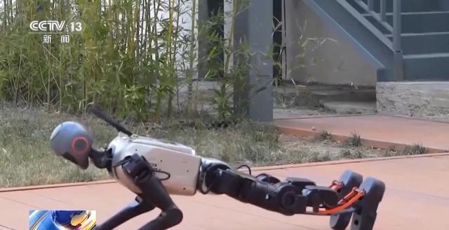 机器人足球赛夺冠秘籍大揭秘：虚拟球场练眼力 跷跷板上找平衡……(图10)