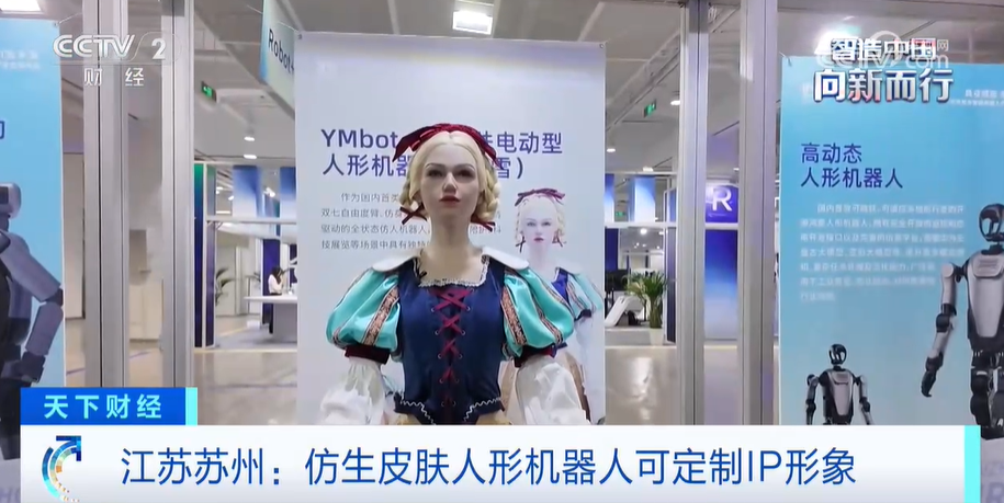 人形机器人最新产品集中亮相 产业生态初具规模(图2)