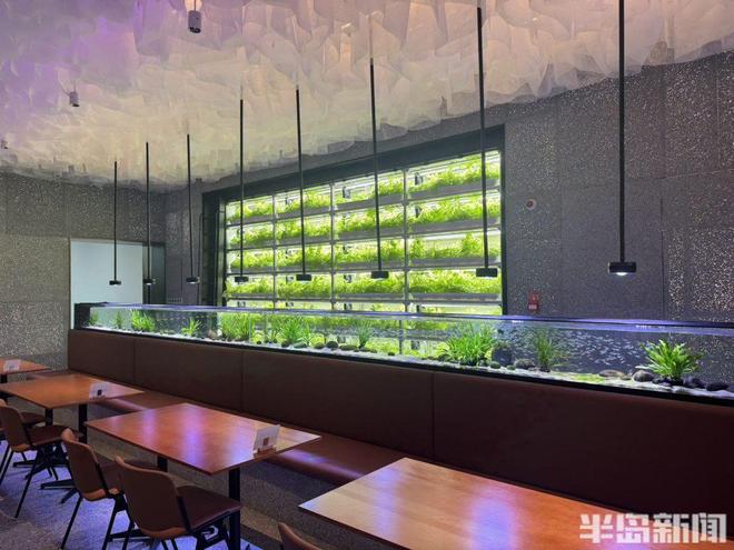 不只是场馆！“智能+专业+休闲”让健身细节感拉满！记者体验试运营中的浮山全民健身中心(图10)