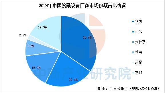 2025年中国智能穿戴设备行业市场前景预测研究报告（简版）(图5)