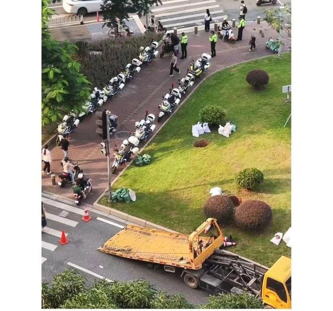 严抓违停！查扣3万辆电鸡！广州全运会备战升级(图4)