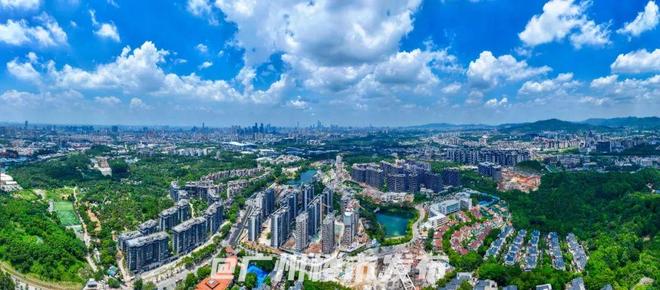 严抓违停！查扣3万辆电鸡！广州全运会备战升级(图7)