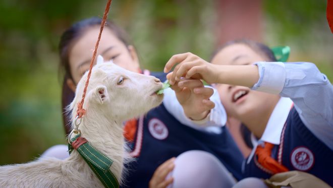 “和润”八载静待花开专访经开三小校长张海兰(图1)