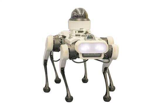 从“神奇跑道”看新科技“秀场”(图1)