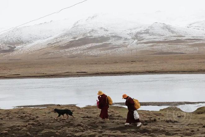 李亚隆：韧性2025(图20)