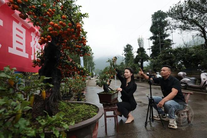 李亚隆：韧性2025(图40)