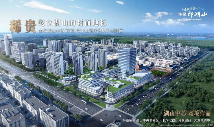 伟星印湖山合肥精品住宅品牌地产的匠心之作!(图5)