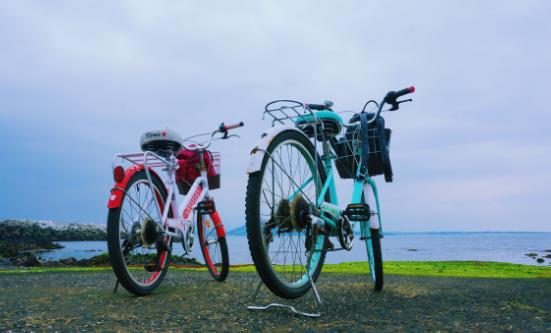 2026自行车市场发展现状调研及未来趋势预测(图1)