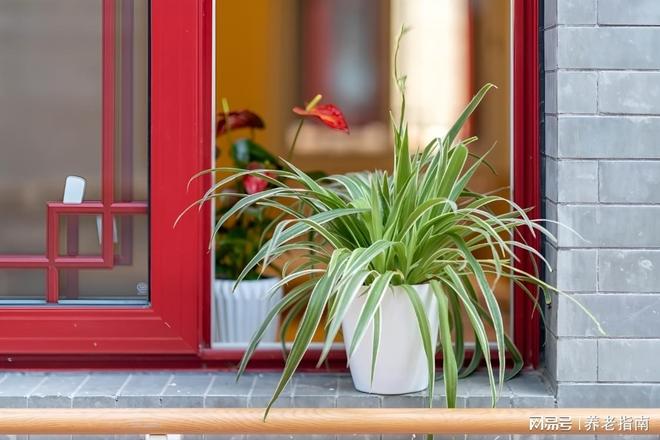 2026年北康养颐寿轩福寿敬老院收费标准8800元起价格地址电话(图1)