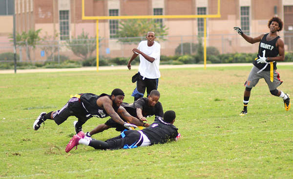 河北体育学院2026年运动训练（夏季项目）、武术与民族传统体育、足球运动专业招生简章(图1)