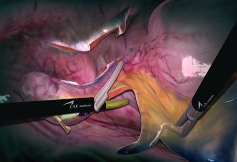 双轮驱动 融合发展 南京疾控（卫监）2025重点工作回顾(图1)