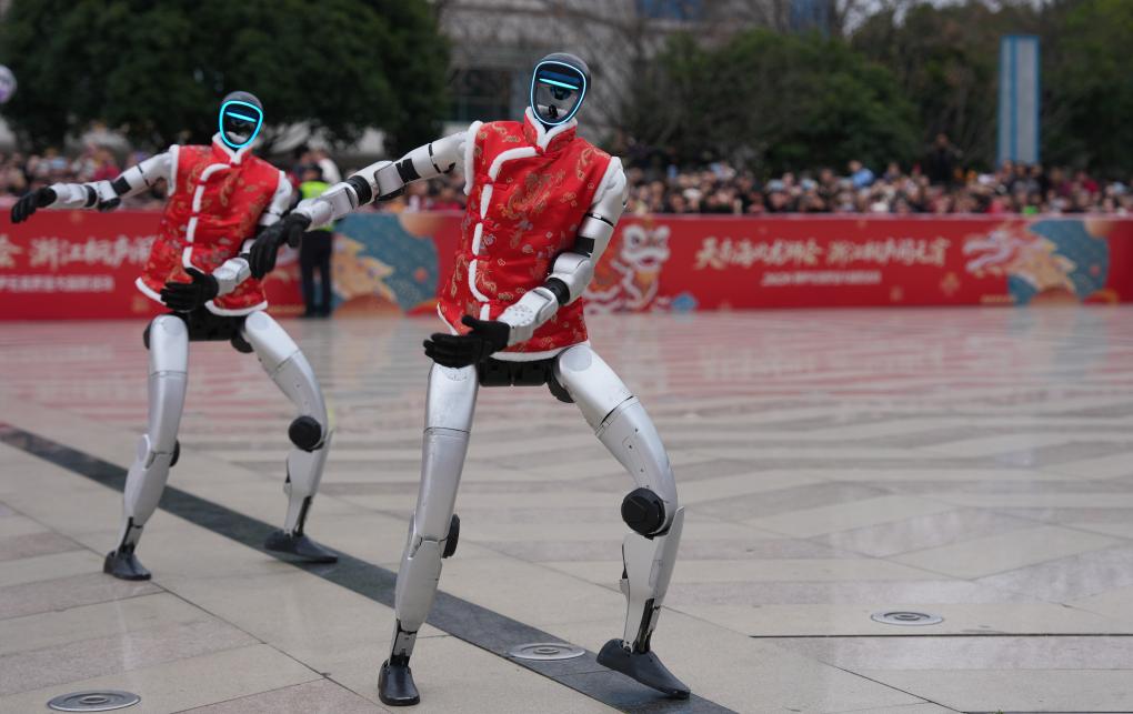 两会看“新”丨人形机器人从“会表演”加速迈向“能干活”