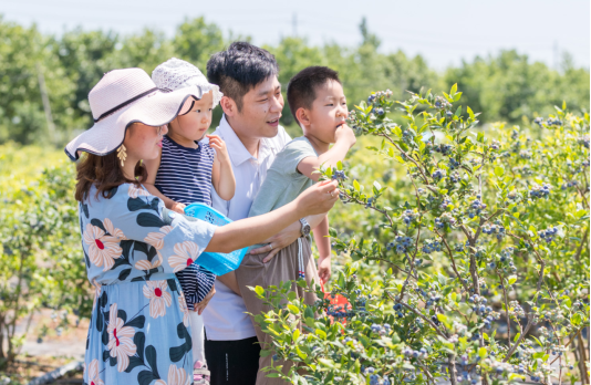 离都市不远离自然很近——最美四月天春游莱西正当时(图4)
