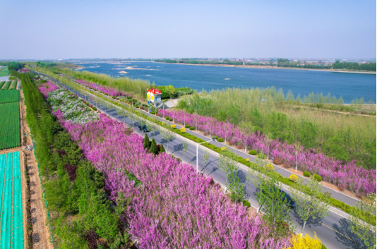 离都市不远离自然很近——最美四月天春游莱西正当时(图3)